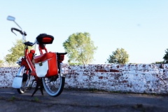 Solex Experience take a break